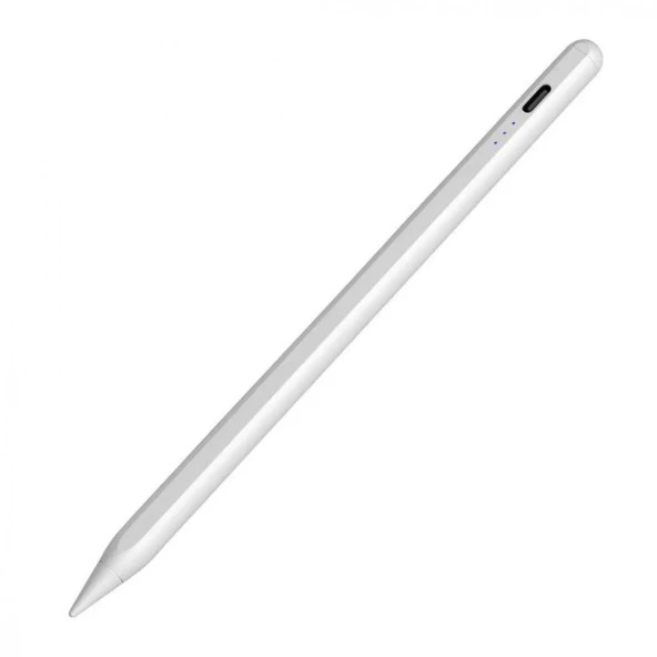 Apple iPad Stylus Dokunmatik Kalem Palm Rejection Mıknatıslı 2018 Sonrası iPadlar İçin Pencil 16 - 9