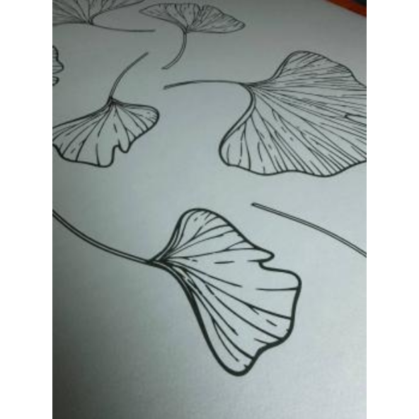 Ginkgo Series Mavi-Kaydırmaz Yoga ve Pilates Matı - 2