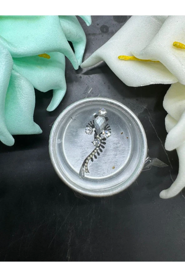 Yüz taşı Face Gems Yapışkan Burun Parmak Hızma Model7