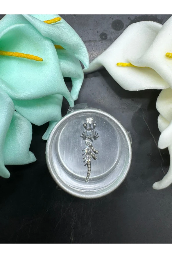 Yüz taşı Face Gems Yapışkan Burun Parmak Hızma Model12