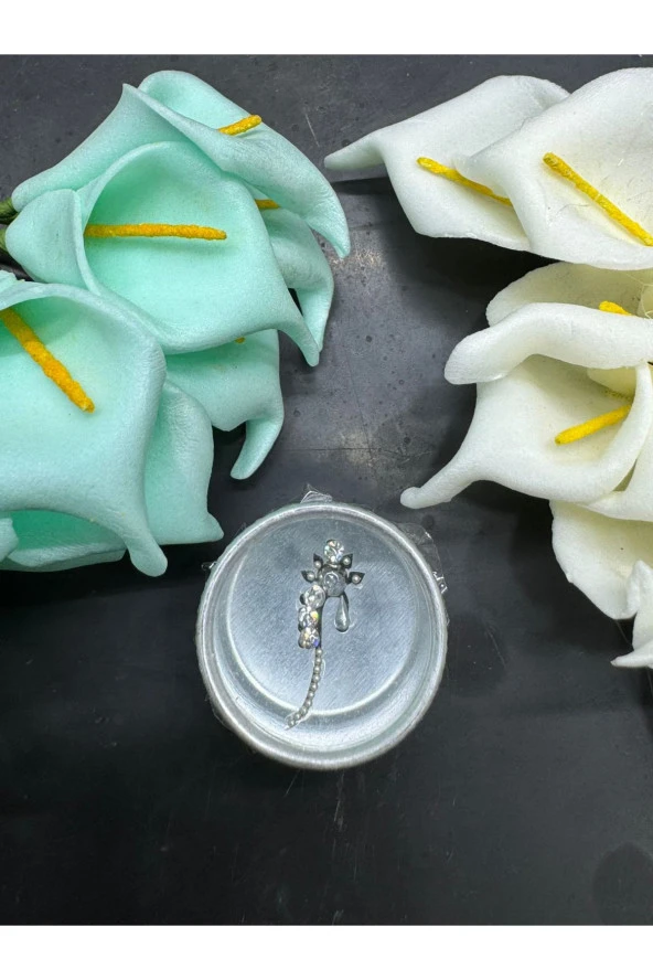 Yüz taşı Face Gems Yapışkan Burun Parmak Hızma Model19