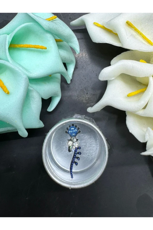 Yüz taşı Face Gems Yapışkan Burun Parmak Hızma Model31 ürün görseli 1