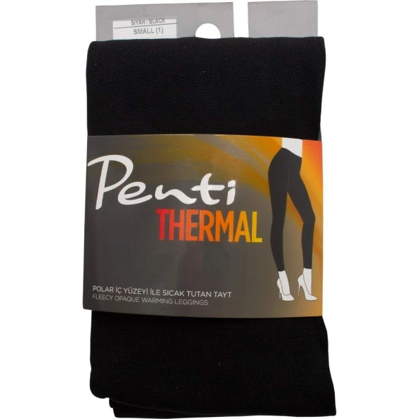 Polar İç Yüzeyli Sıcak Tutan Siyah Kadın Penti İçlik Tayt - 3