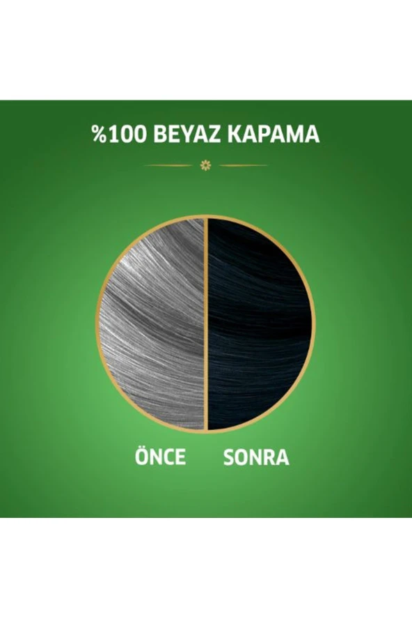 Naturals Saç Boyası Böğürtlen Siyahı 2/8 2x Paket - 3