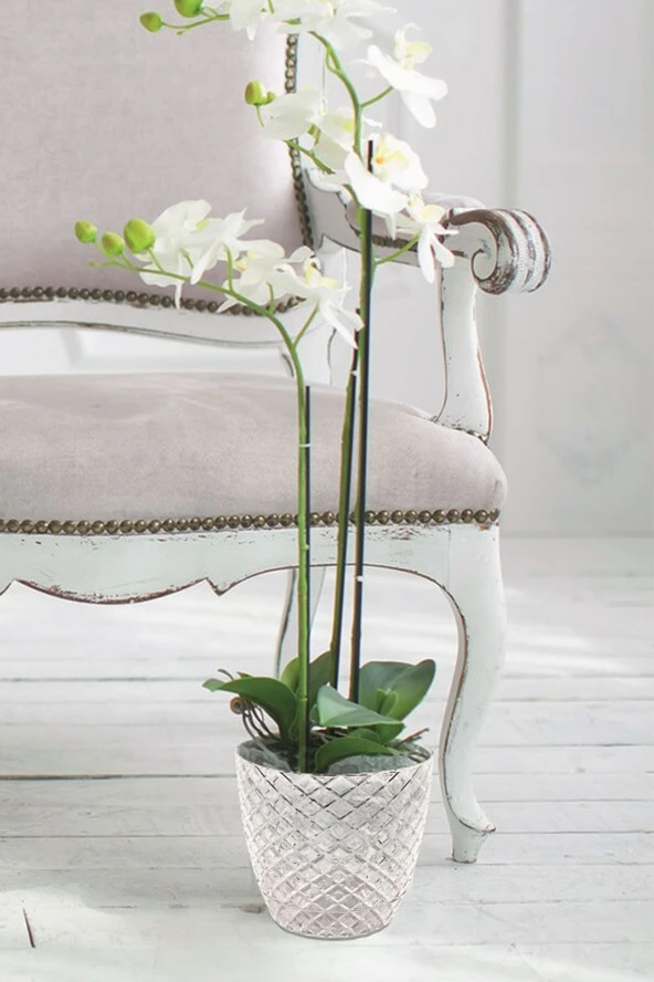 Yakamoz Orkide Saksı 17,7x15,6 cm 2.40 lt - 2