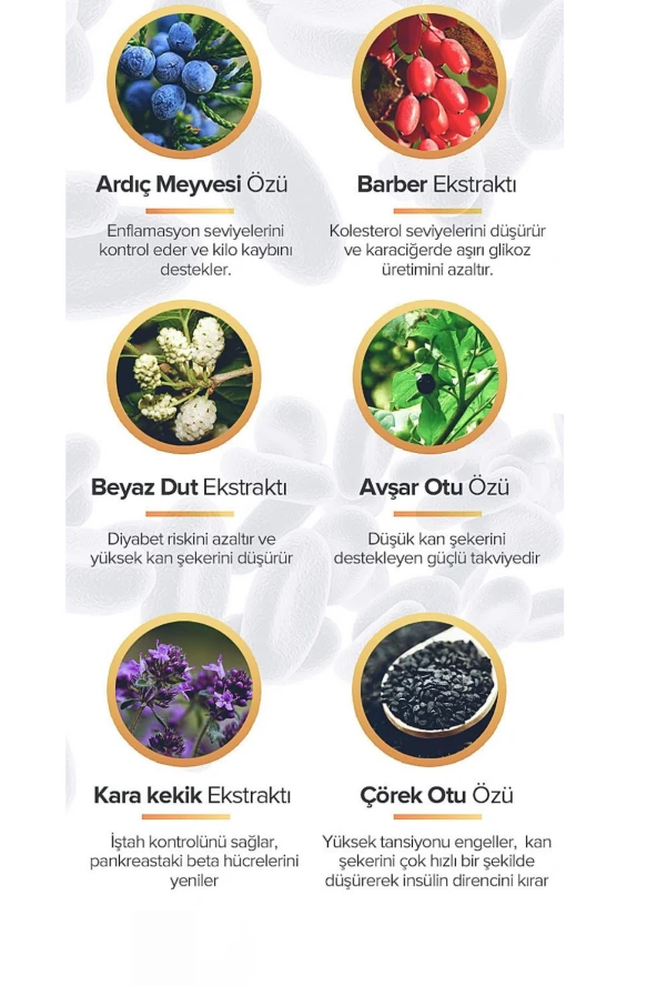 insunol Dİyabetik Macun 240 Gr Şeker Dengeleyici - Resim 3