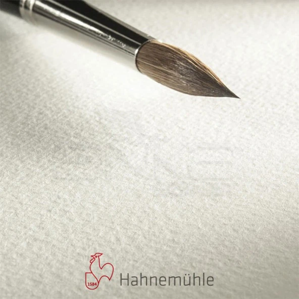 Hahnemühle 200 Sulu Boya Tabaka 200g Rough 50x65 10lu - 2