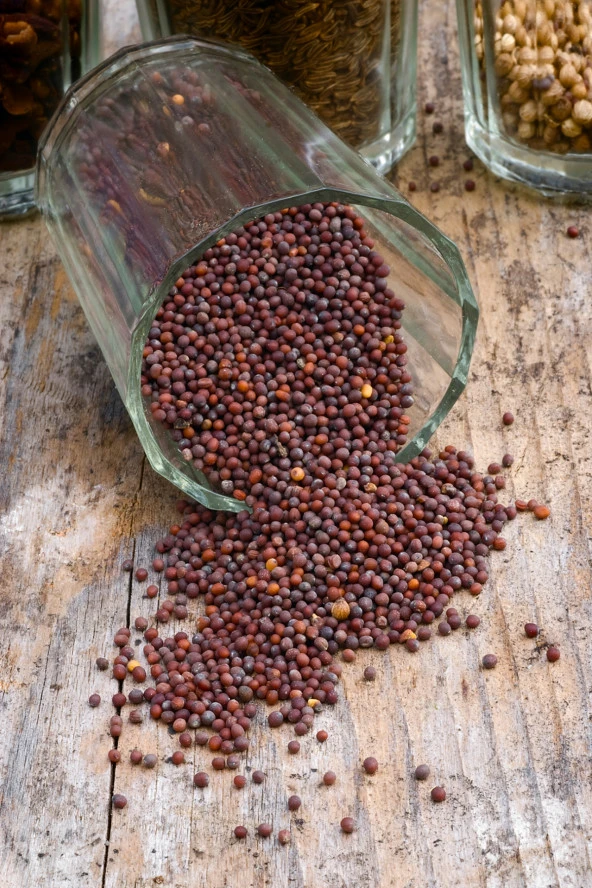 Siyah Hardal Tohumu Deluxe Seri Organik Lezzetli 300 Gr - 3