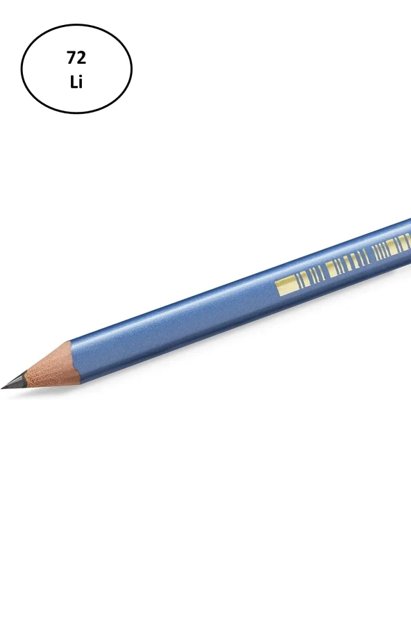 Bic Evolution Üçgen Hb Kurşun Kalem 72'li - 2