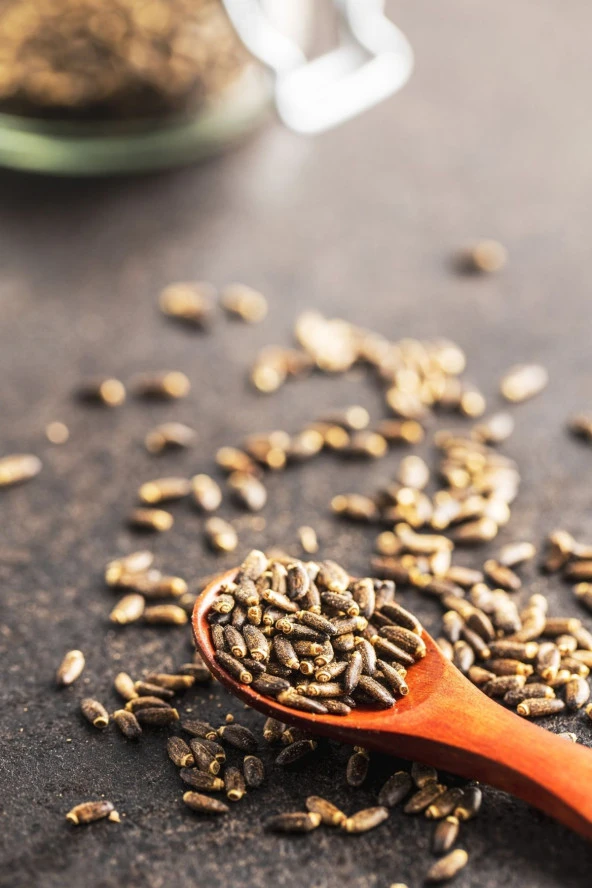 Deve Dikeni Tohumu Deluxe Seri Organik Lezzetli 250 Gr - 3