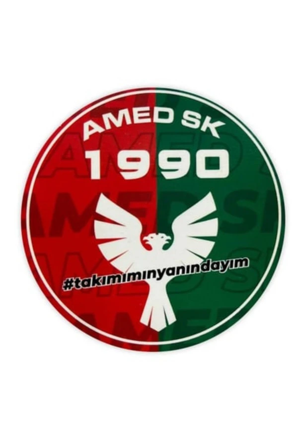 AMEDSPOR 0046 BASKILI MAGNET