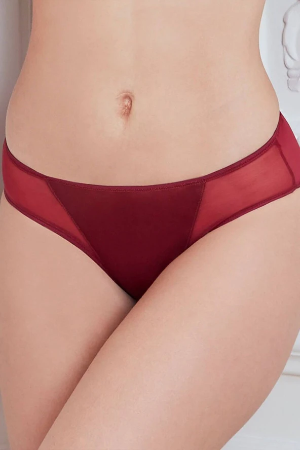 Kadın Mikro Kumaş Tüllü Slip