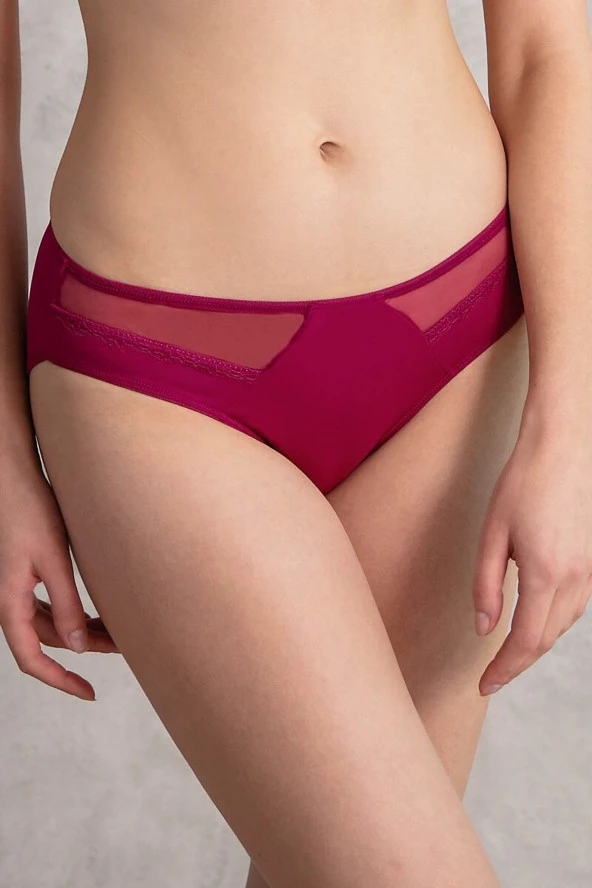 Kadın Siyah Mikro Kumaş Tüllü Slip - 2