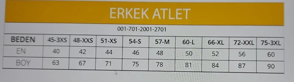 CEYLANOĞLU ERKEK PENYE ASKILI ATLET 12 ADET  2XL GRİ - Resim 9