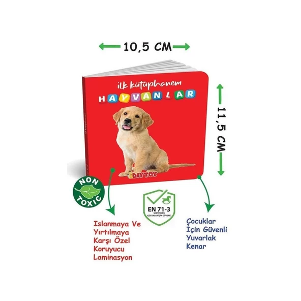 2090 Dıytoy, İlk Kütüphanem-İlk Sözcükler 8'Li Mini Kitap Seti - Resim 4