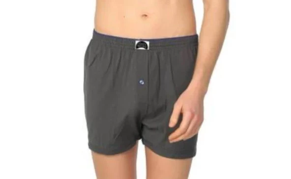 6 lı Paket Gümüş Erkek Penye Boxer Düz Renk Pamuklu Erkek Boxer 4020 - 2