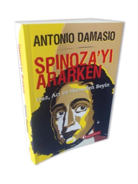 Spinoza yı Ararken