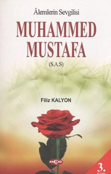 Mevlana ve Mesnevi Gerçeği