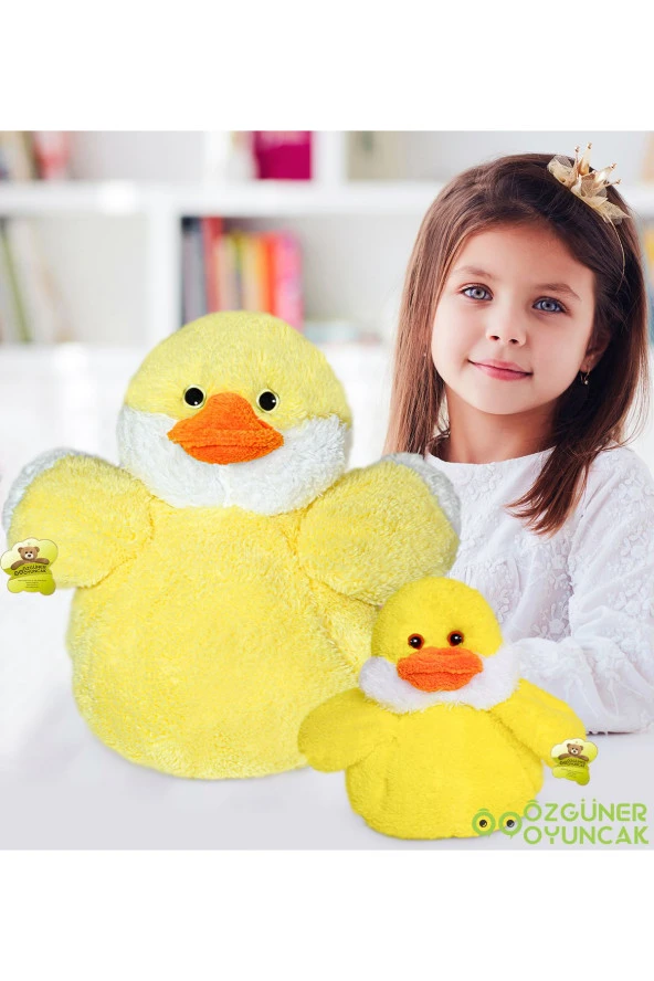 Daylin Civciv Ailesi - Resim 2