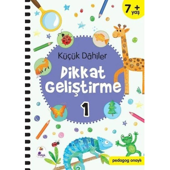 Küçük Dahiler Dikkat Geliştirme Seti - 7+ Yaş - 2 Kitap Takım