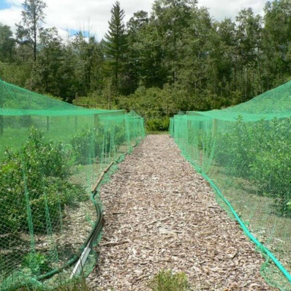 Abk Plastik %40 30gr PE Gölgelik K.Yeşil 8m - Rulo Uzunluk : 200 m - 2