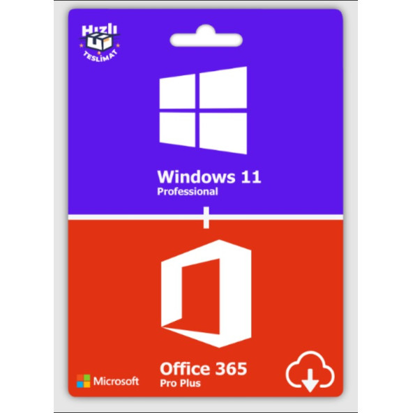 Microsoft Windows 11 Pro + Office 365 Pro Plus