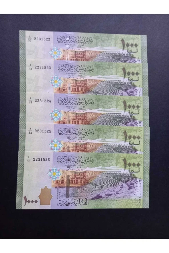 2013 Suriye 1000 pound 5'li set seri takipli ÇİL yabancı kağıt para