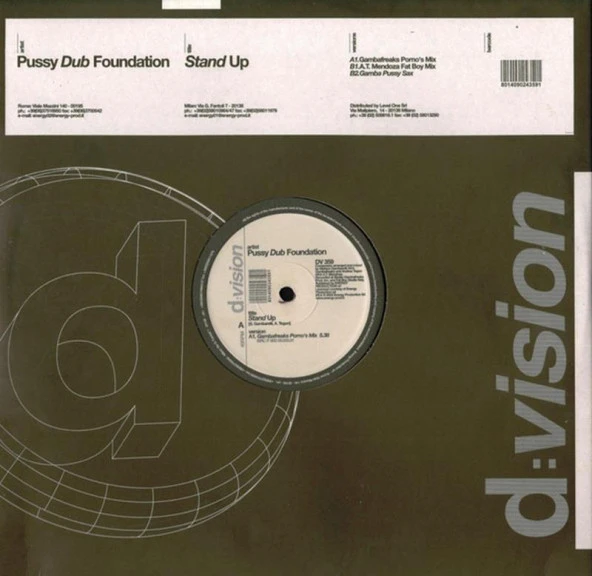 Pussy Dub Foundation – Stand Up Tech House Vinly Plak alithestereo