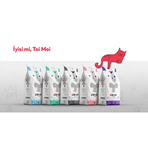 TOİ MOİ CAT LİTTER KEDİ KUMU 5L MARSİLYA SABUN KOKULU - 4