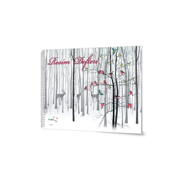 Çınar Resim Defteri Spiralli 15 YP 17x24 33002