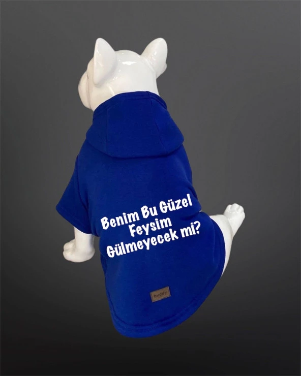 Kedi & Köpek Kıyafeti Sweatshirt - Benim Bu Güzel Feysim Hiç Gülmeyecek Mi Baskılı Saks Mavisi Sweatshirt