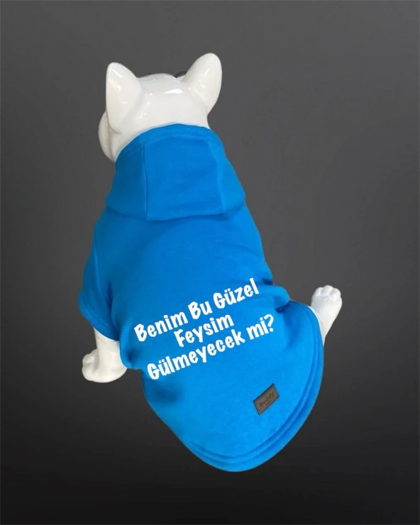 Kedi & Köpek Kıyafeti Sweatshirt - Benim Bu Güzel Feysim Hiç Gülmeyecek Mi Baskılı Mavi Sweatshirt