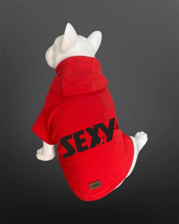 Kedi & Köpek Kıyafeti Sweatshirt - Sexy Baskılı Kırmızı Sweatshirt