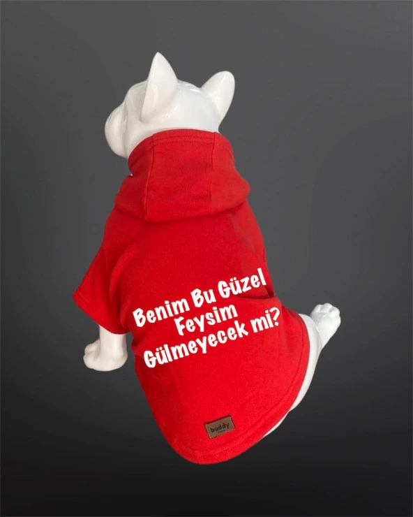 Kedi & Köpek Kıyafeti Sweatshirt - Benim Bu Güzel Feysim Hiç Gülmeyecek Mi Baskılı Kırmızı Sweatshirt