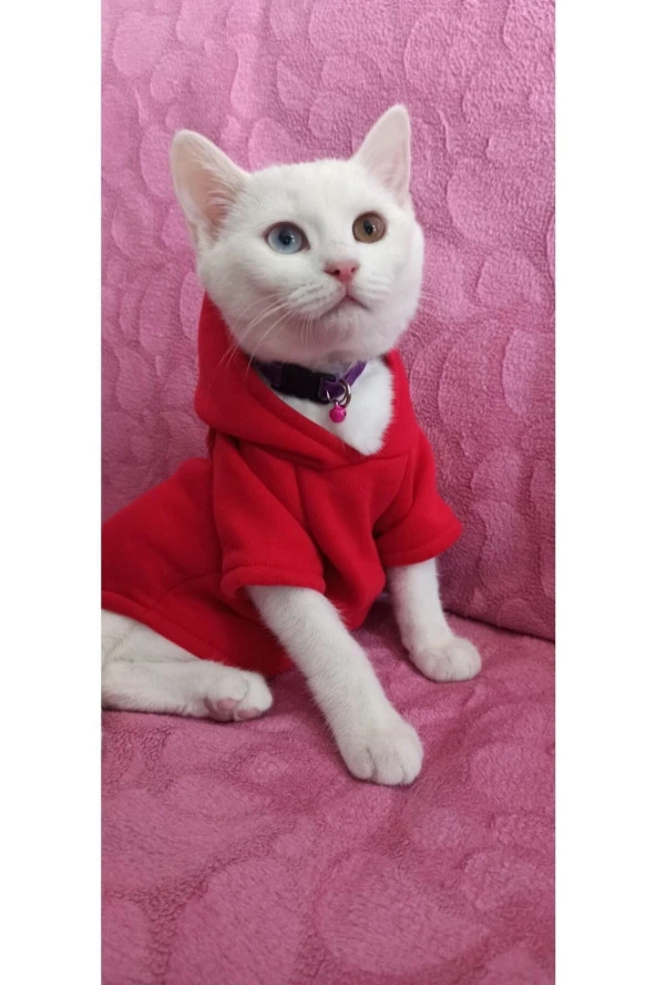 Kedi & Köpek Kıyafeti Sweatshirt - Baskısız Kırmızı Sweatshirt - S Beden