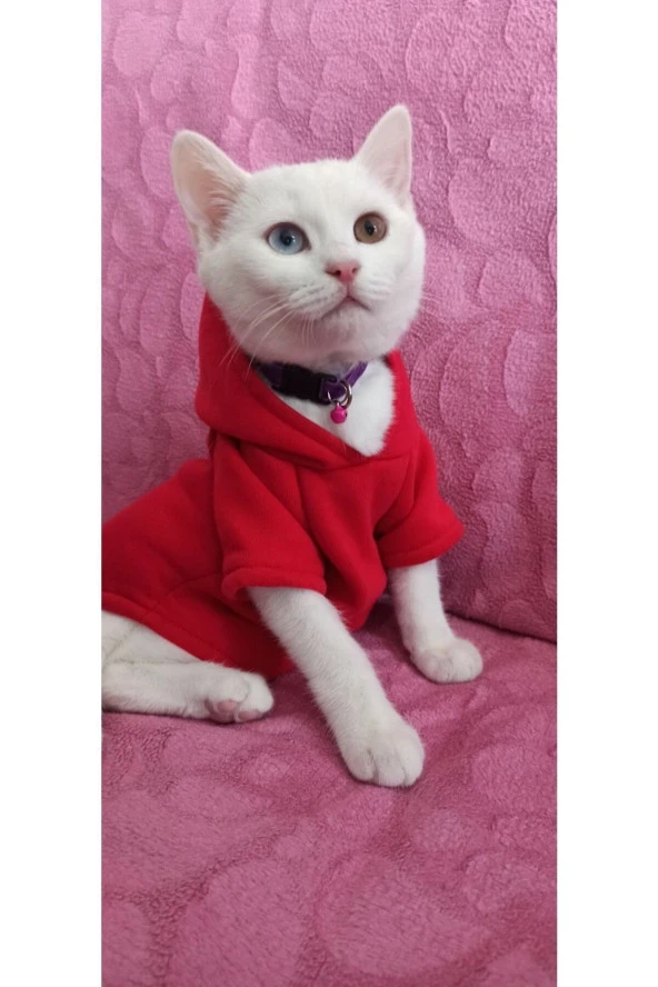 Kedi & Köpek Kıyafeti Sweatshirt - Baskısız Kırmızı Sweatshirt - Xl Beden