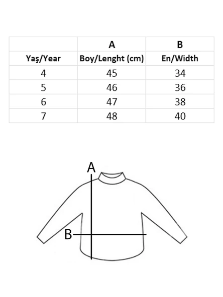 Erkek Çocuk Mevsimlik Sweatshirt WILD - 11