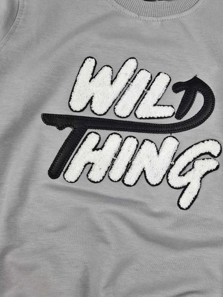 Erkek Çocuk Mevsimlik Sweatshirt WILD - 4