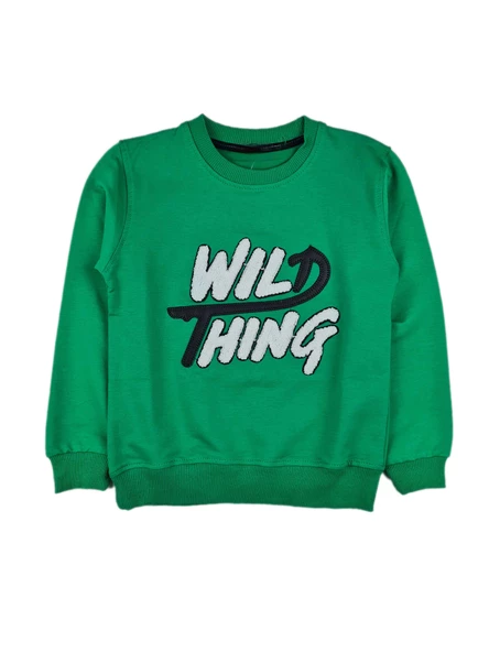 Erkek Çocuk Mevsimlik Sweatshirt WILD - 9