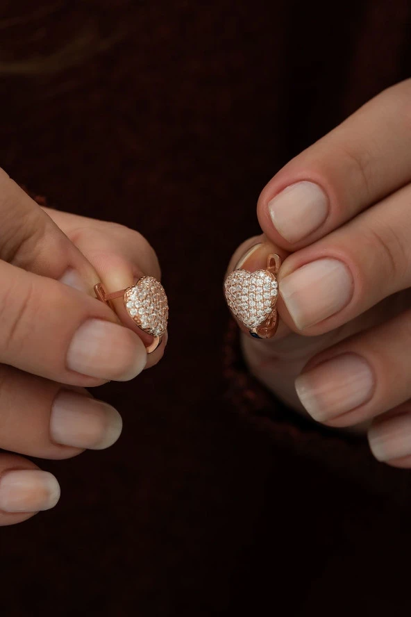 925 Ayar Zirkon Taşlı Kalp Küpe Kadın Gümüş Küpe ürün görseli