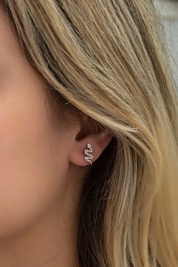 925 Ayar Gümüş Minik Zirkon Taşlı Yılan Küpe ürün görseli