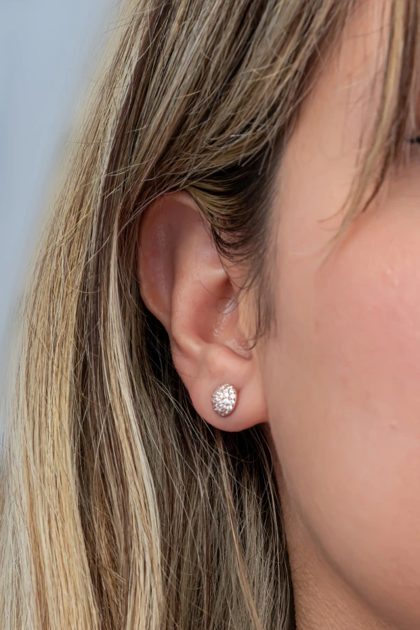 925 Ayar Gümüş Minimal Zirkon Taşlı Rose Top Küpe ürün görseli