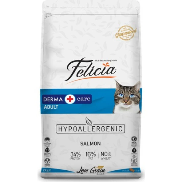 Felicia 2 Kg Yetişkin Somonlu Az Tahıllı HypoAllergenic Kedi Maması