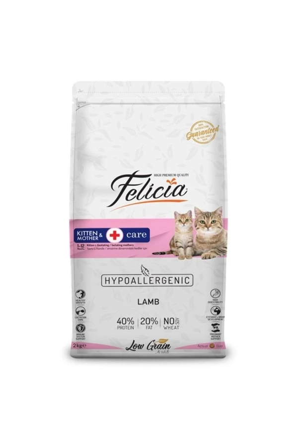 Felicia 2 Kg Yavru Kuzu Etli  Az Tahıllı HypoAllergenic Kedi Maması