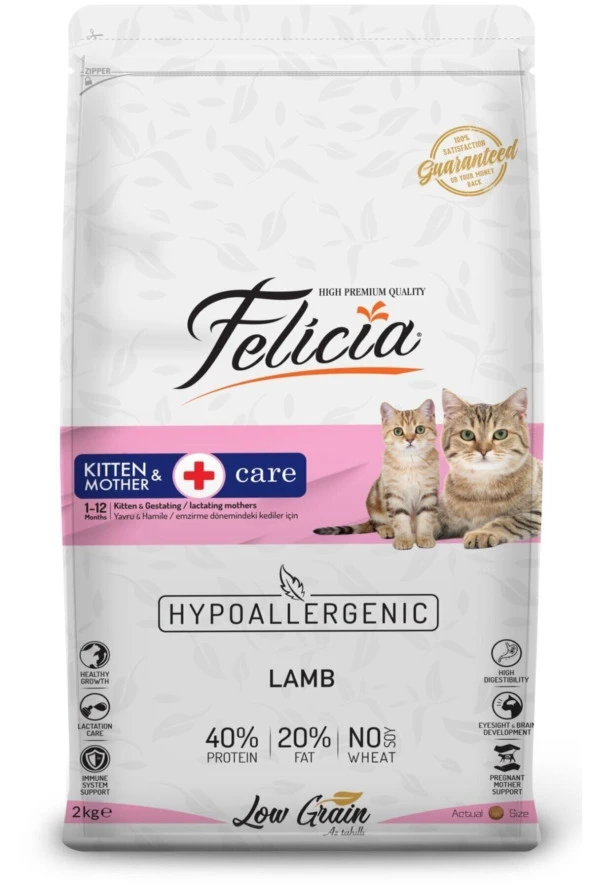 Felicia 12 Kg Yavru Kuzu Etli Az Tahıllı HypoAllergenic Kedi Maması