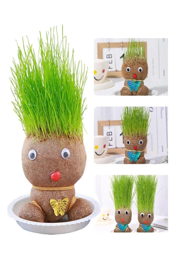 Çim Adam Yapım Seti 1 Paket Okul Eğitici Deney Seti Çim Adam Seti - 2