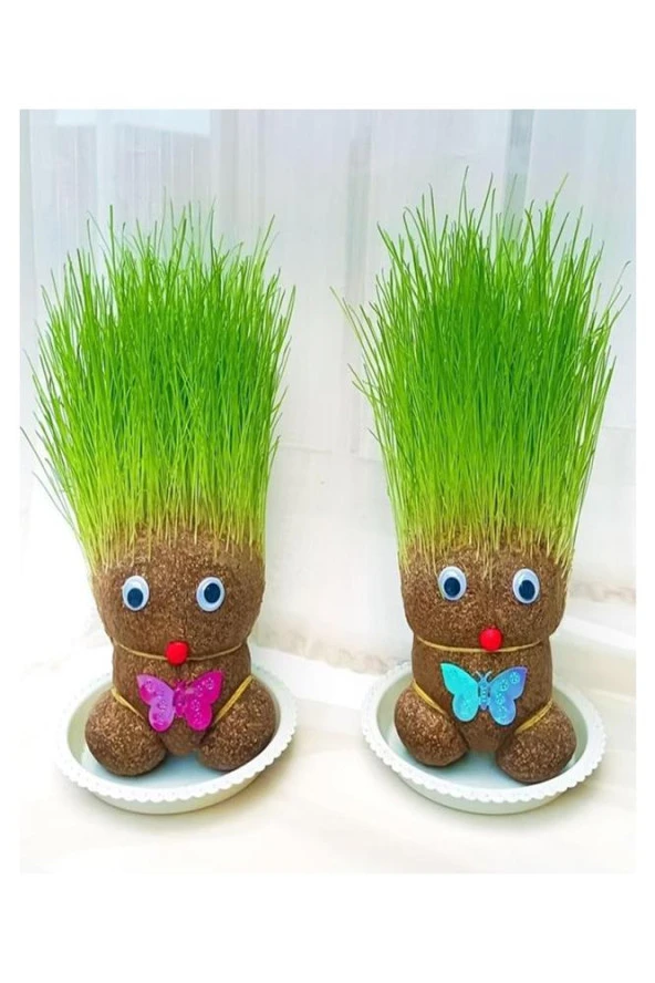 Çim Adam Yapım Seti 1 Paket Okul Eğitici Deney Seti Çim Adam Seti - 3