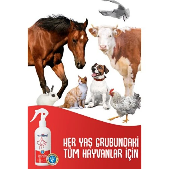Vetürel Kedi Köpek Yara ve Deri Bakım Spreyi Refil 300 ml - 2