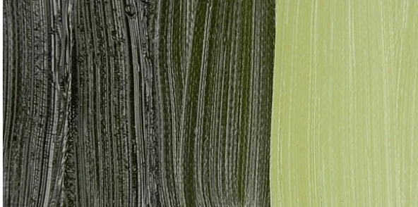 Van Gogh 40ml Yağlı Boya Seri:2 No:620 Olive Green - 1