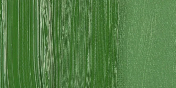 Van Gogh 40ml Yağlı Boya Seri:2 No:668 Chromium ox Green ürün görseli 1